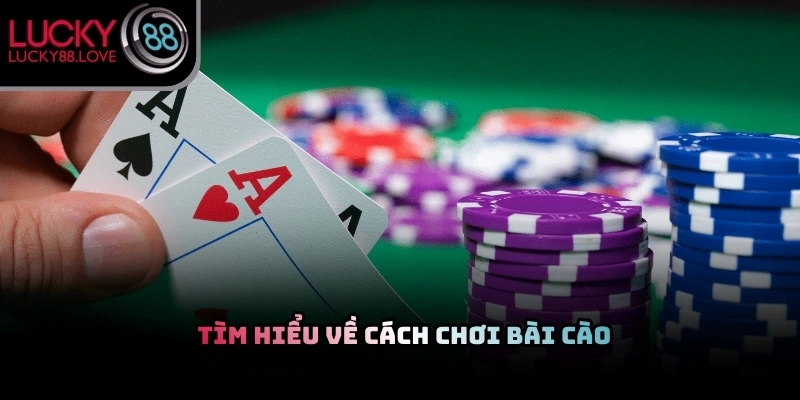 Không gian bàn cược hiển thị các tổ hợp bài ba lá đầy kịch tính cho khách