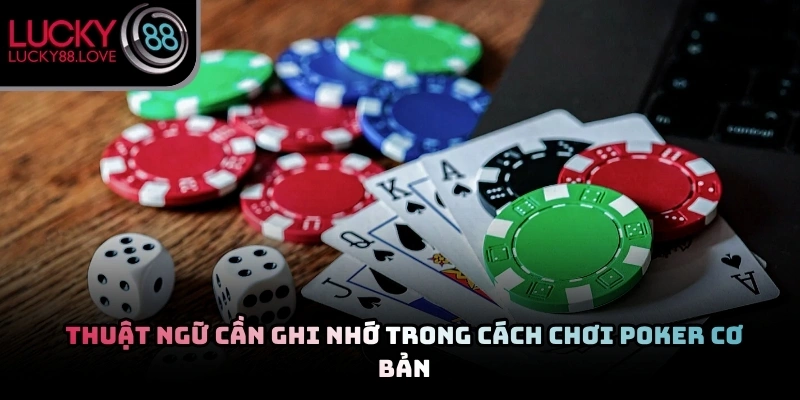 Danh sách từ ngữ chuyên môn hiển thị trên bảng hướng dẫn tại sảnh chơi
