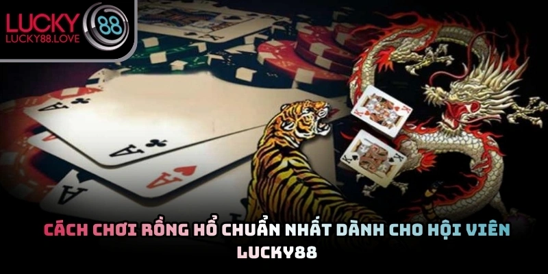 Cách Chơi Rồng Hổ