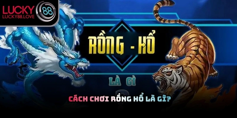 Không gian bàn cược hiển thị các cửa đặt tiền Rồng và Hổ đầy kịch tính