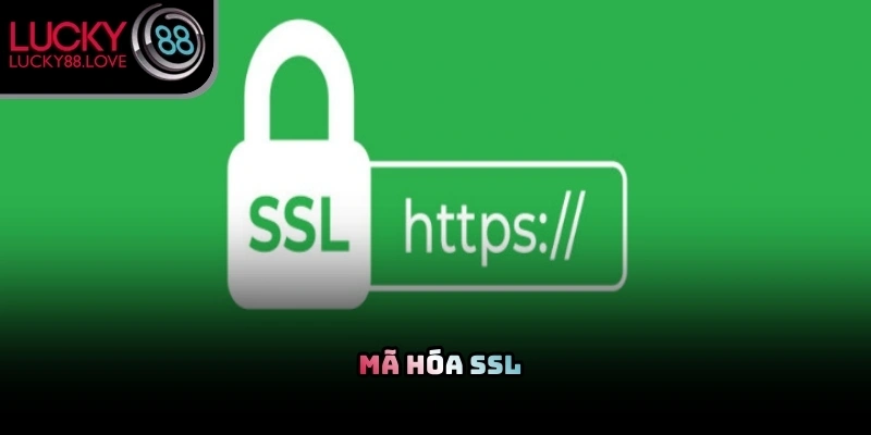 Hệ thống an ninh SSL thực hiện mã hóa các lệnh nạp và rút tiền của hội viên