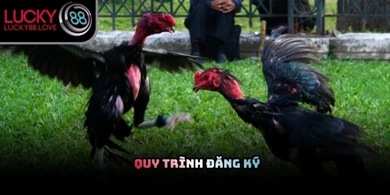 Thủ tục đăng ký tài khoản được tối ưu hóa với các bước thực hiện đơn giản