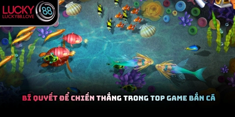 Thực hiện điều chỉnh các cấp độ đạn để phù hợp với top game bắn cá